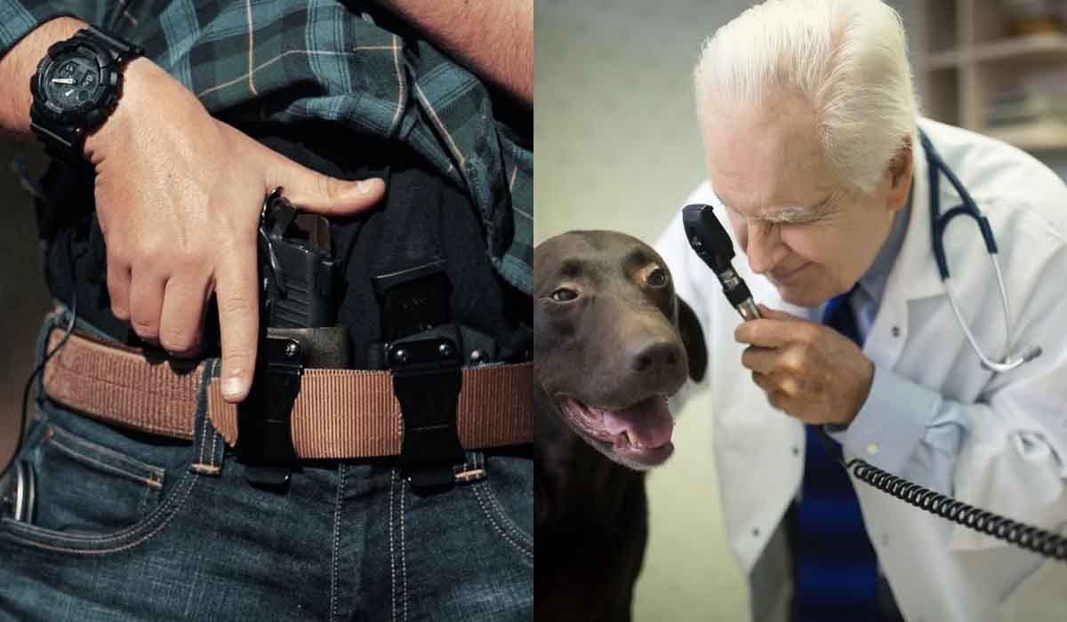Comissão aprova porte de arma para veterinários